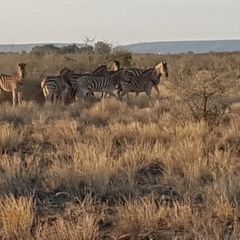 unverortetes Flugbild