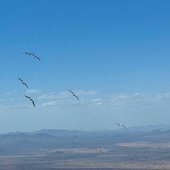 unverortetes Flugbild